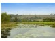 38 Willows Road, Gresford NSW 2311