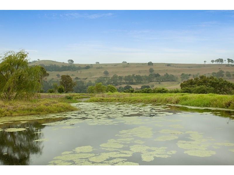 38 Willows Road, Gresford NSW 2311