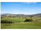 38 Willows Road, Gresford NSW 2311