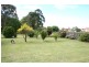 Dungog NSW 2420