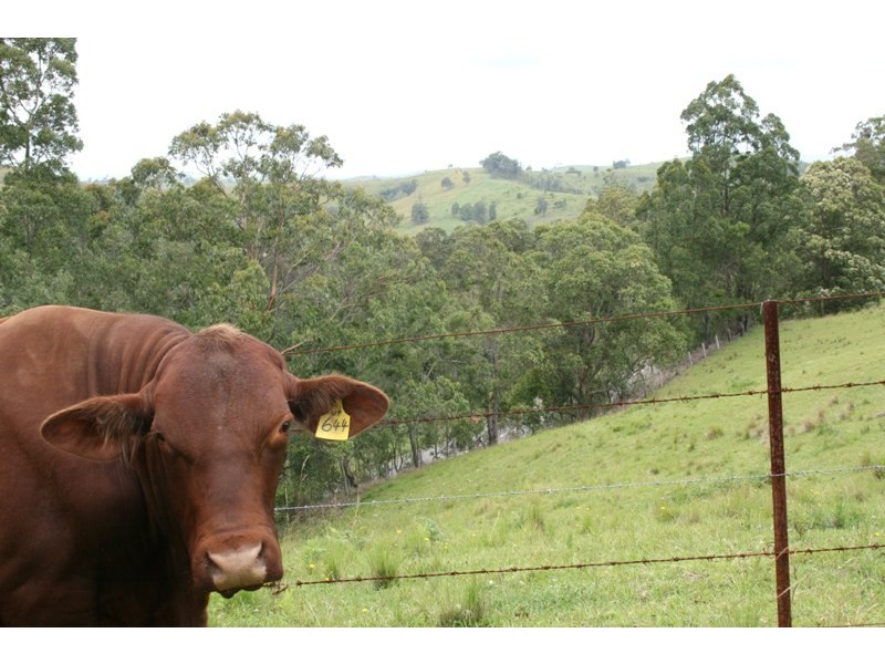 1486 Stroud Hill Road, Dungog NSW 2420