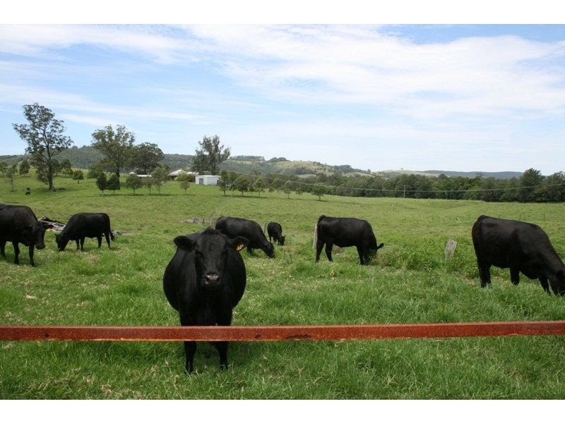 52 Punchs Road, Clarence Town NSW 2321