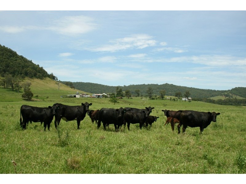 52 Punchs Road, Clarence Town NSW 2321