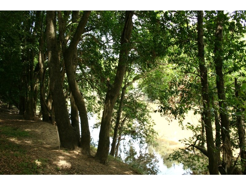 52 Punchs Road, Clarence Town NSW 2321