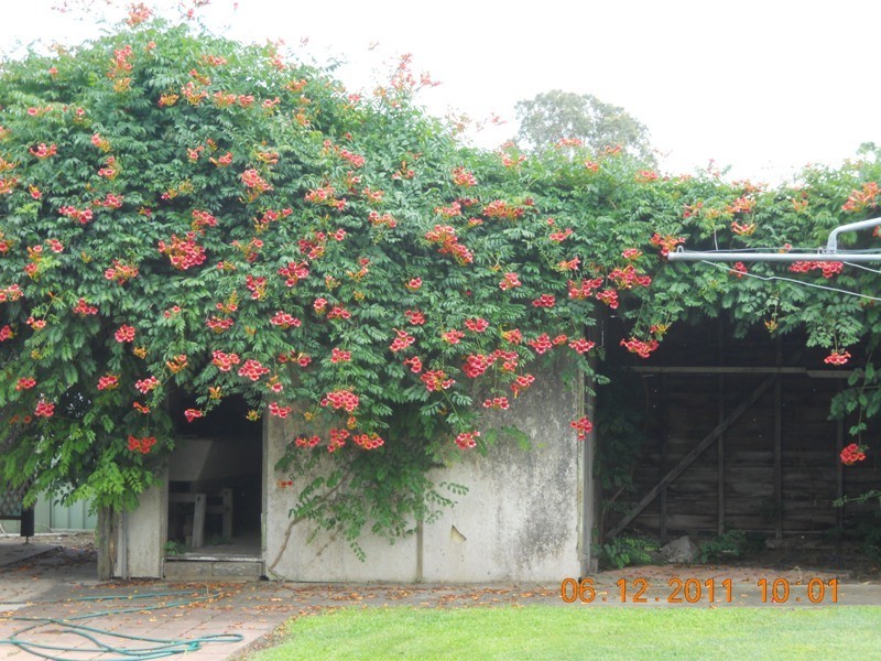 Clarence Town NSW 2321