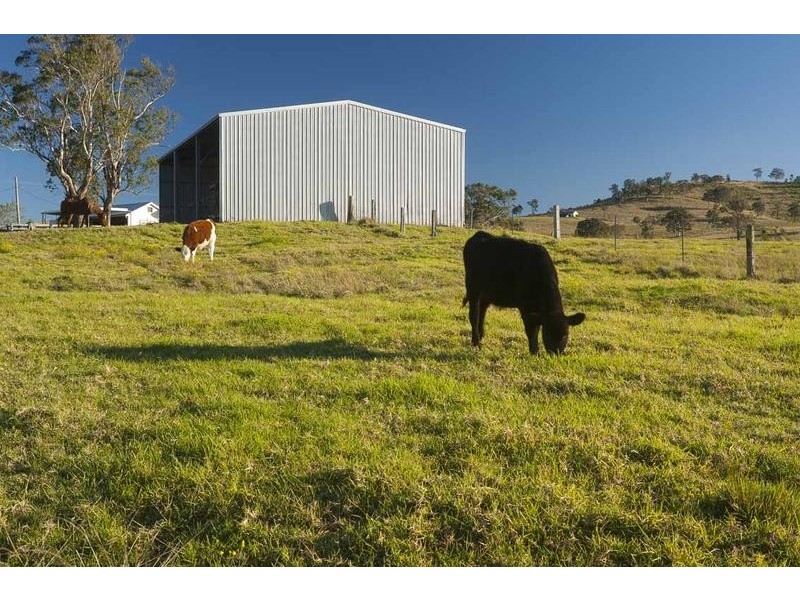 764 Chichester Dam Road, Dungog NSW 2420