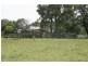 128 Sandy Creek Road, Dungog NSW 2420
