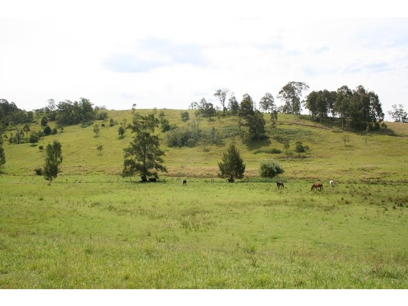 128 Sandy Creek Road, Dungog NSW 2420