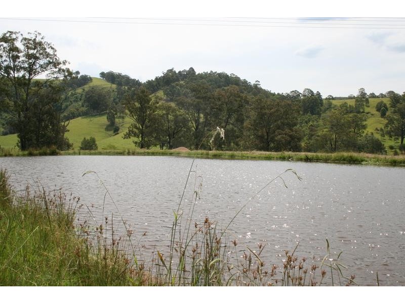 128 Sandy Creek Road, Dungog NSW 2420