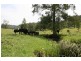 128 Sandy Creek Road, Dungog NSW 2420