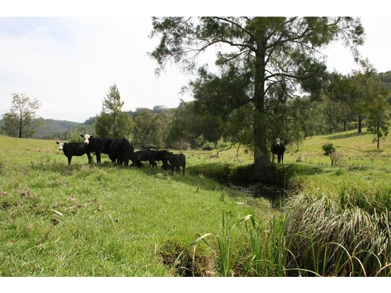 128 Sandy Creek Road, Dungog NSW 2420