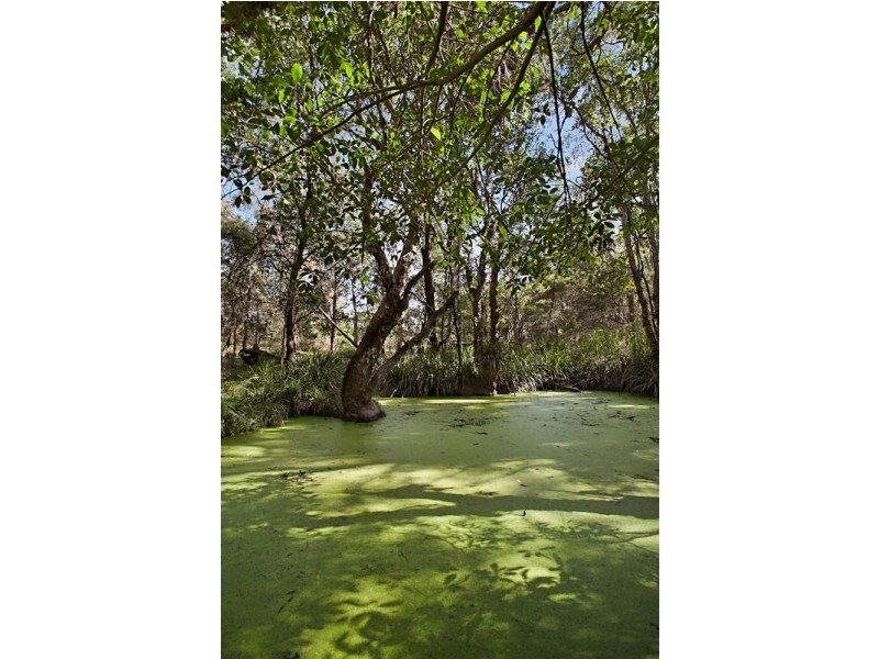 . Limeburners Creek Road, Clarence Town NSW 2321