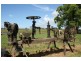 . CLEARING SALE, Millers Forest NSW 2324