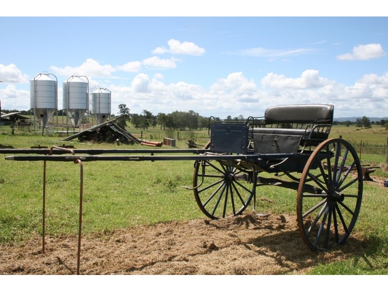 . CLEARING SALE, Millers Forest NSW 2324