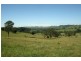 1553 Chichester Dam Road, Dungog NSW 2420