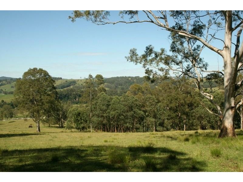 1553 Chichester Dam Road, Dungog NSW 2420