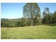 1553 Chichester Dam Road, Dungog NSW 2420
