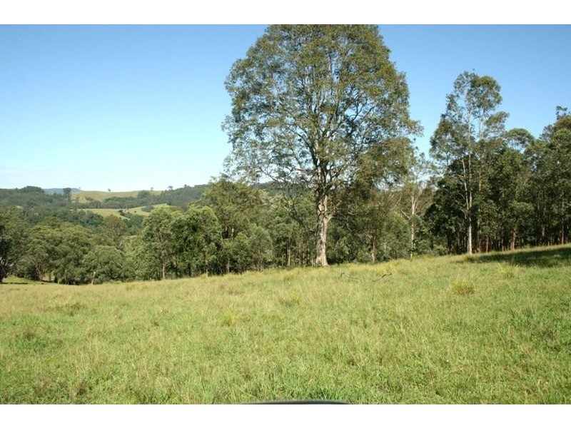 1553 Chichester Dam Road, Dungog NSW 2420