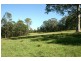 1553 Chichester Dam Road, Dungog NSW 2420