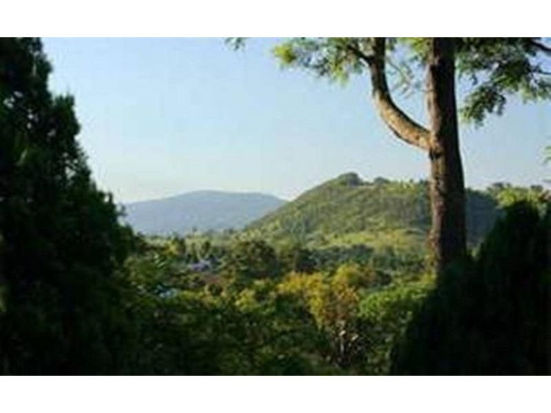 40 Lord Street, Dungog NSW 2420