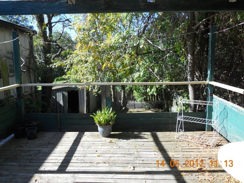 Dungog NSW 2420