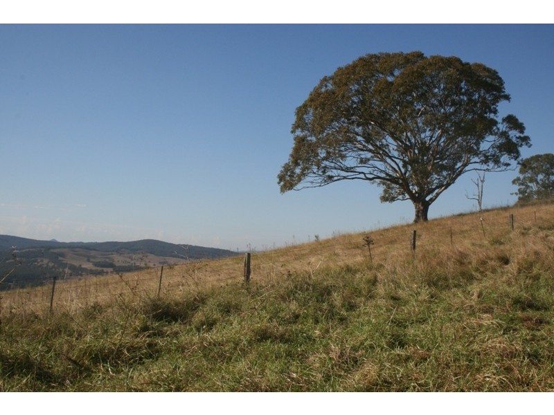 525 Germons Road, Dungog NSW 2420