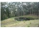 210 Moylans Road, Dungog NSW 2420