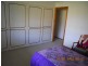Dungog NSW 2420