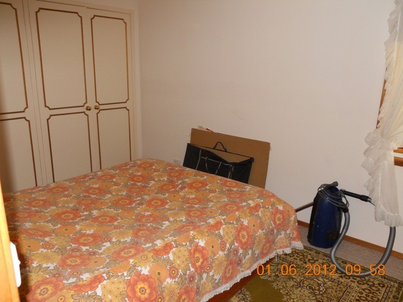 Dungog NSW 2420