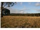 Lot 444,, 788 Limeburners Creek Road, Clarence Town NSW 2321