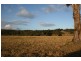 Lot 444,, 788 Limeburners Creek Road, Clarence Town NSW 2321