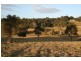 Lot 444,, 788 Limeburners Creek Road, Clarence Town NSW 2321