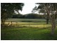 Lot 441,, 788 Limeburners Creek Road, Clarence Town NSW 2321
