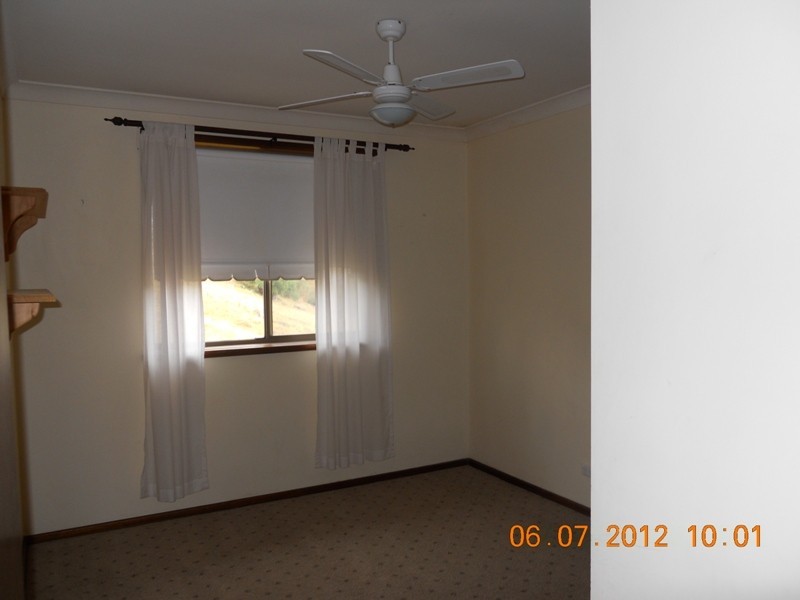 Dungog NSW 2420