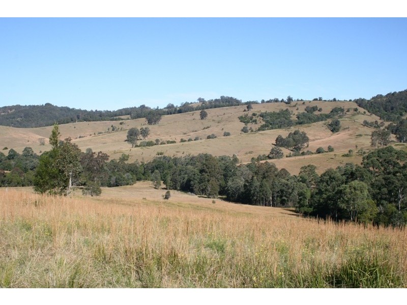 143 Chichester Dam Road, Dungog NSW 2420