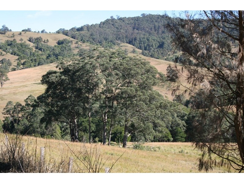 143 Chichester Dam Road, Dungog NSW 2420