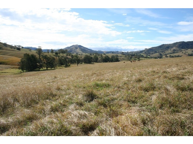 1501 Paterson River Road, Gresford NSW 2311