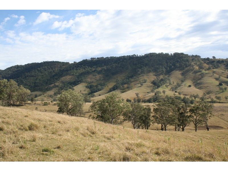 1501 Paterson River Road, Gresford NSW 2311