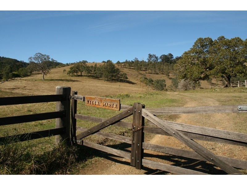 1041 BINGLEBURRA ROAD, Dungog NSW 2420