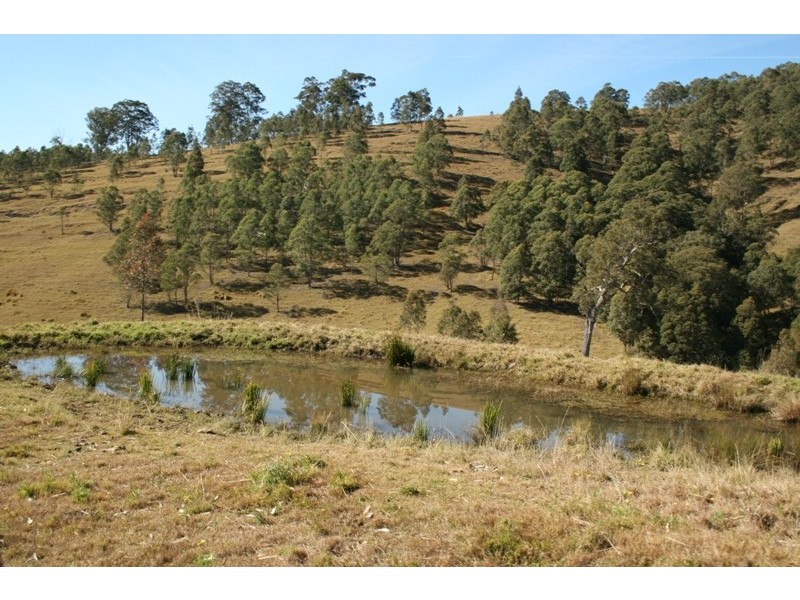 1041 BINGLEBURRA ROAD, Dungog NSW 2420