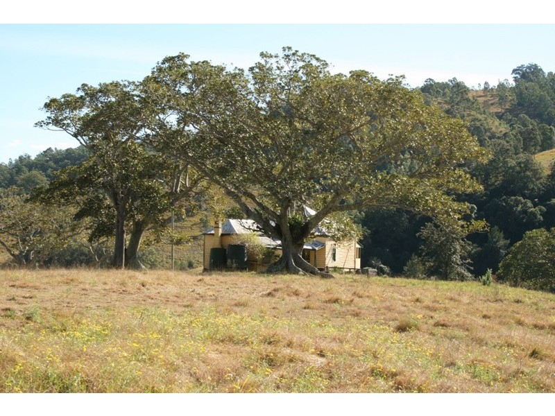 1041 BINGLEBURRA ROAD, Dungog NSW 2420