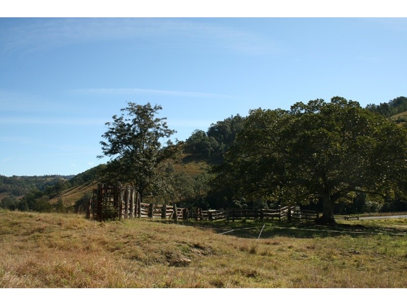 1041 BINGLEBURRA ROAD, Dungog NSW 2420