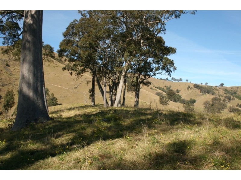 1041 BINGLEBURRA ROAD, Dungog NSW 2420