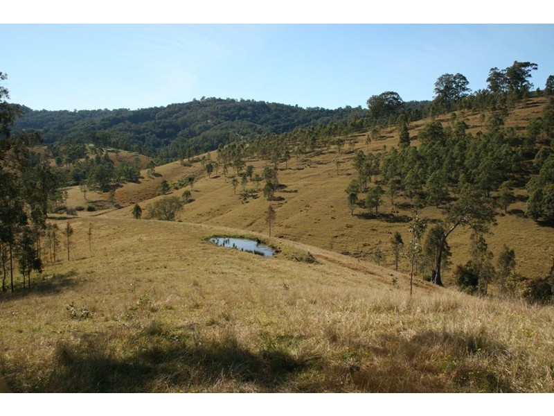 1041 BINGLEBURRA ROAD, Dungog NSW 2420