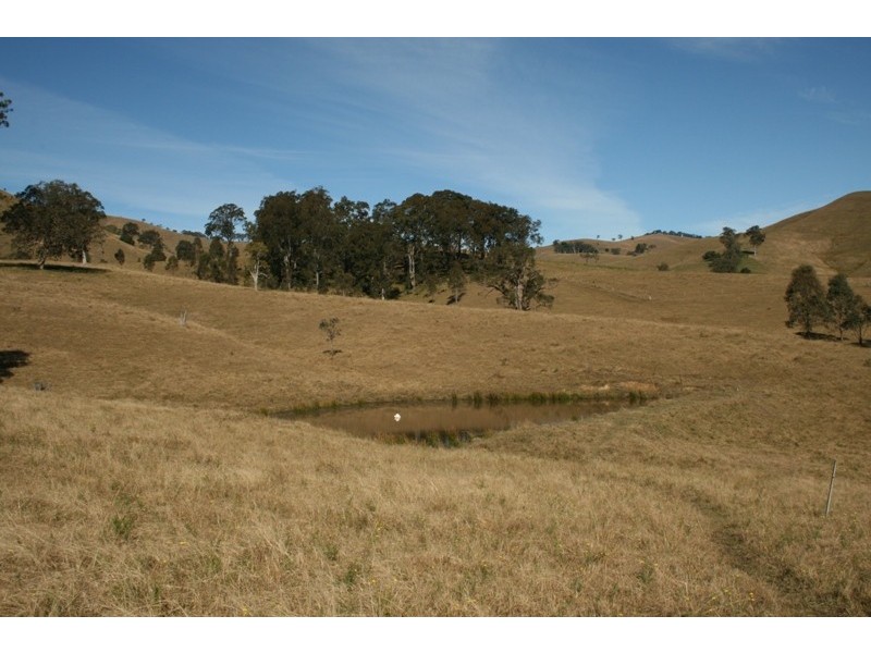 1041 BINGLEBURRA ROAD, Dungog NSW 2420