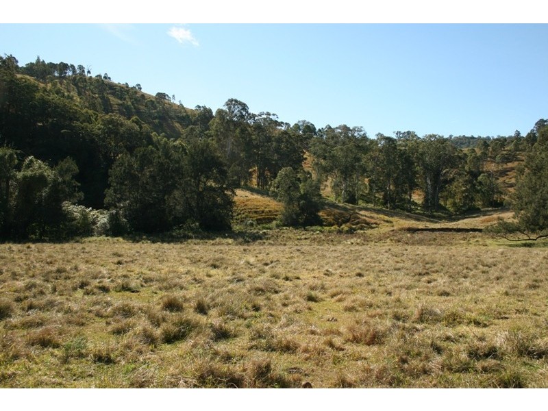 1041 BINGLEBURRA ROAD, Dungog NSW 2420