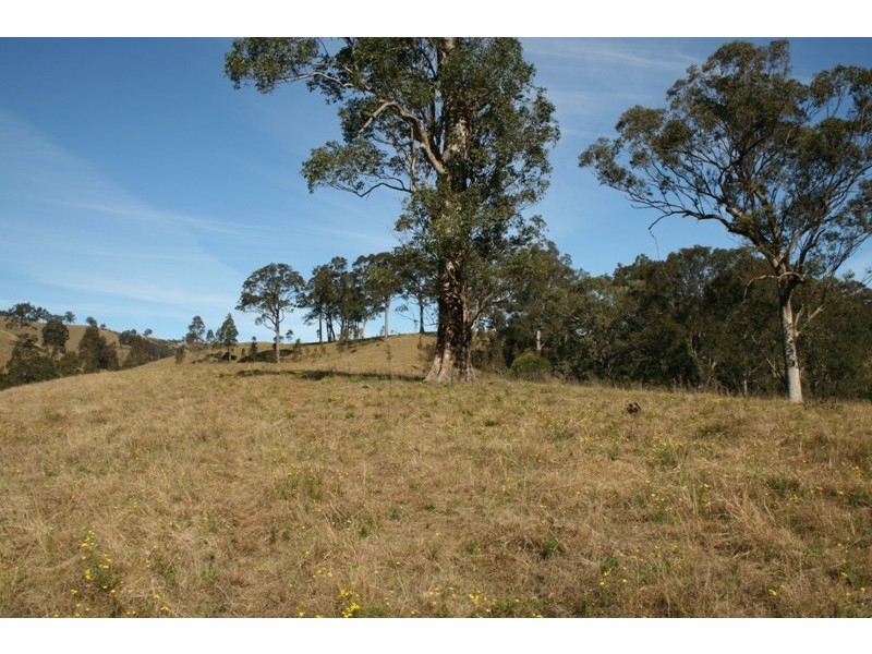 1041 BINGLEBURRA ROAD, Dungog NSW 2420
