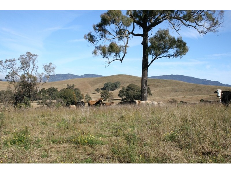 1819 Gresford Road, East Gresford NSW 2311