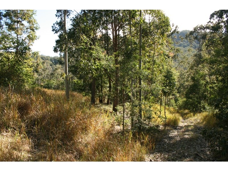 270 Washpool Creek Road, Booral NSW 2425