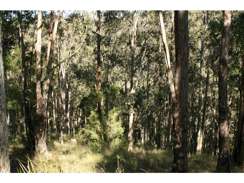 270 Washpool Creek Road, Booral NSW 2425